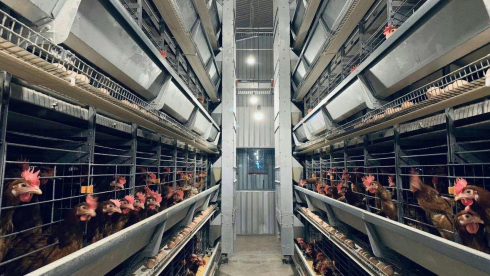 “無(wú)抗時(shí)代”對(duì)養(yǎng)殖場(chǎng)設(shè)備提出了哪些要求？