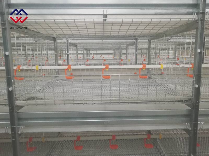 養(yǎng)雞怎樣選擇肉雞籠？