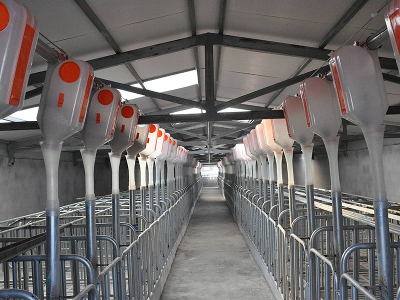 未來(lái)七年，中國(guó)豬肉產(chǎn)能將新增1400萬(wàn)頭！這類(lèi)養(yǎng)豬場(chǎng)前景廣闊！